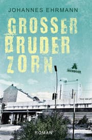 Cover von Großer Bruder Zorn