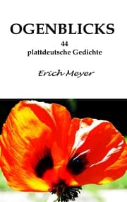 Cover von Ogenblicks