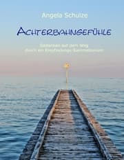 Cover von Achterbahngefühle