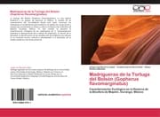 Cover von Madrigueras de la Tortuga del Bolsón (Gopherus flavomarginatus)