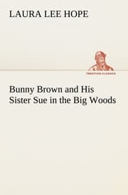 Cover von Bunny Brown and His Sister Sue in the Big Woods