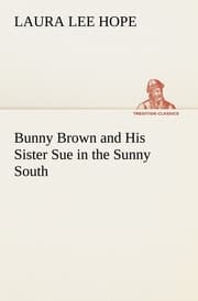 Cover von Bunny Brown and His Sister Sue in the Sunny South