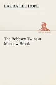 Cover von The Bobbsey Twins at Meadow Brook