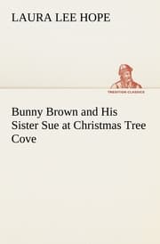 Cover von Bunny Brown and His Sister Sue at Christmas Tree Cove