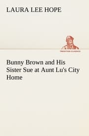 Cover von Bunny Brown and His Sister Sue at Aunt Lu's City Home