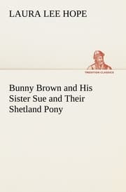 Cover von Bunny Brown and His Sister Sue and Their Shetland Pony
