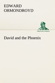 Cover von David and the Phoenix