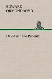 Cover von David and the Phoenix