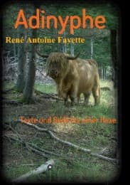 Cover von Adinyphe