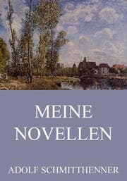 Cover von Meine Novellen