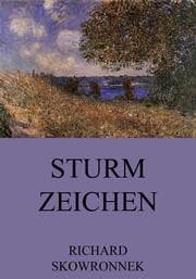 Cover von Sturmzeichen