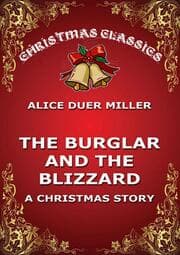 Cover von The Burglar And The Blizzard