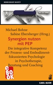 Cover von Synergien nutzen mit PEP