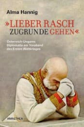 Cover von 'Lieber rasch zugrunde gehen'