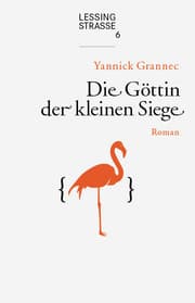 Cover von Die Göttin der kleinen Siege