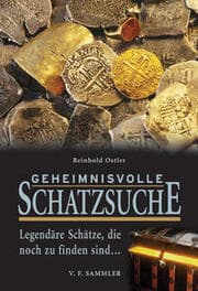 Cover von Geheimnisvolle Schatzsuche