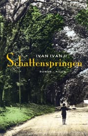 Cover von Schattenspringen