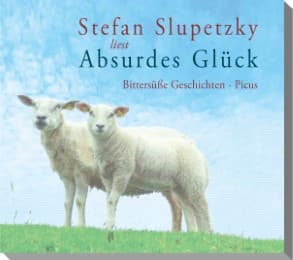 Cover von Absurdes Glück