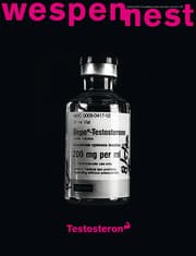 Cover von wespennest - zeitschrift für brauchbare texte und bilder