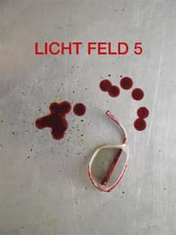 Cover von Licht Feld 5