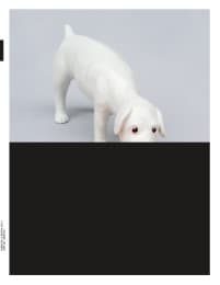 Cover von trans 30. Farbe
