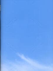 Cover von trans 40. Phantasma