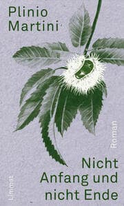 Cover von Nicht Anfang und nicht Ende