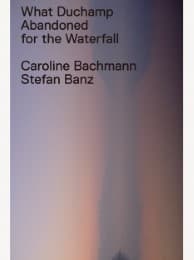 Cover von What Duchamp Abandoned for the Waterfall