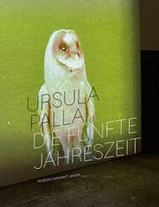 Cover von Ursula Palla - Die fünfte Jahreszeit