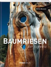 Cover von Baumriesen der Schweiz