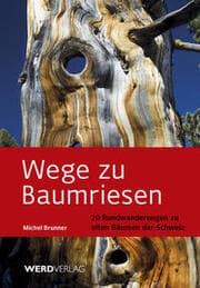 Cover von Wege zu Baumriesen