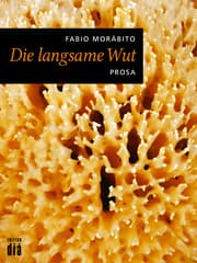 Cover von Die langsame Wut