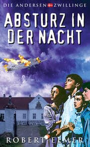 Cover von Absturz in der Nacht