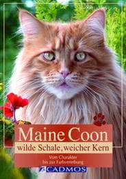 Cover von Maine Coon - Wilde Schale, weicher Kern