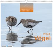 Cover von Lebensraum Bodensee - Vögel 2024