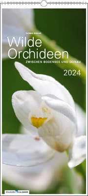 Cover von Wilde Orchideen 2024