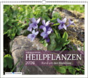 Cover von Heilpflanzen rund um den Bodensee 2026