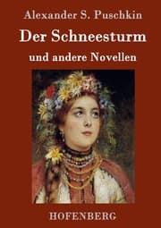 Cover von Der Schneesturm