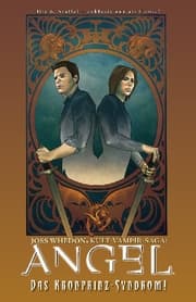 Cover von Angel Nach dem Fall