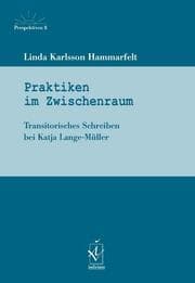 Cover von Praktiken im Zwischenraum