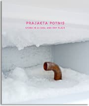 Cover von Prajakta Potnis - Store in a cool and dry place