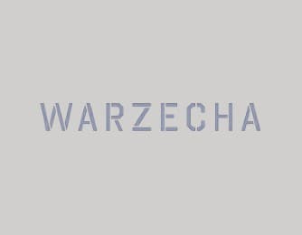 Cover von Anja Warzecha - Transitions
