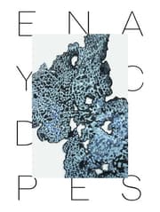 Cover von Verena Freyschmidt