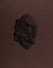 Cover von Revier
