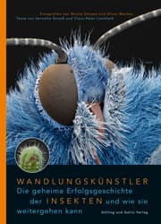 Cover von Wandlungskünstler