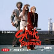 Cover von Spuk unterm Riesenrad