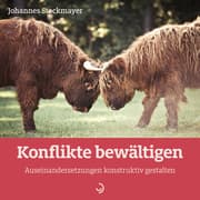 Cover von Konflikte bewältigen