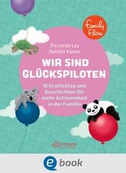 Cover von FamilyFlow. Wir sind Glückspiloten