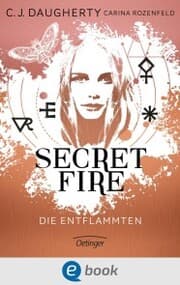 Cover von Secret Fire 1. Die Entflammten