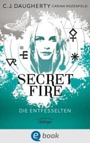 Cover von Secret Fire 2. Die Entfesselten